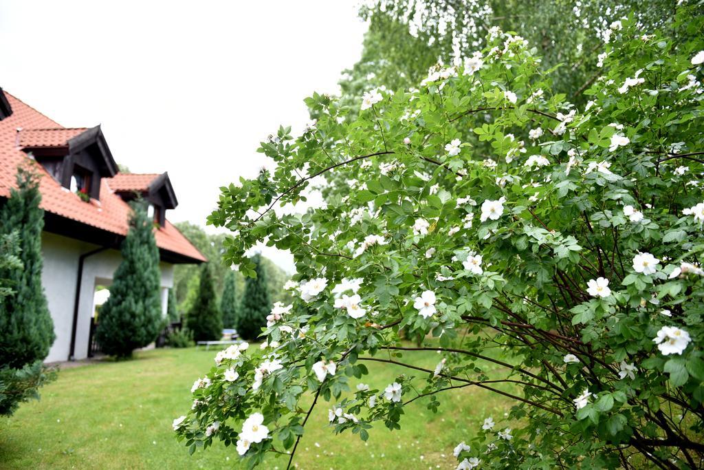 Zajazd Bialy Mlyn Sterławki Wielkie Exterior foto